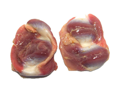 Mề gà ( Gizzards)