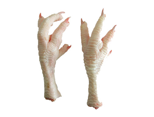 Chân gà ( Chicken Feet